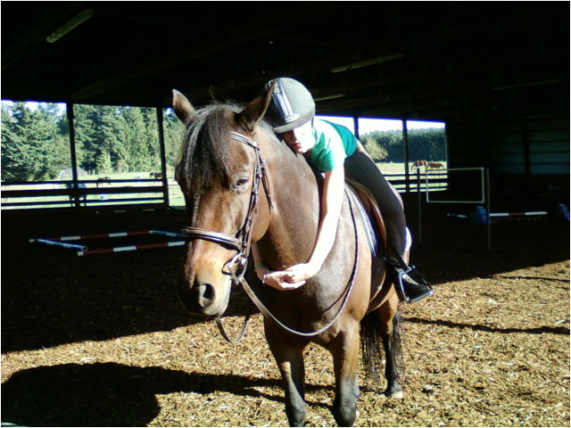 short-acres-farm-horse-riding-lessons-camps-parties-and-events-hockinson-brush-prairie-battle-ground-woodland-ridgefield-orchards-and-vancouver-washington-contact-us